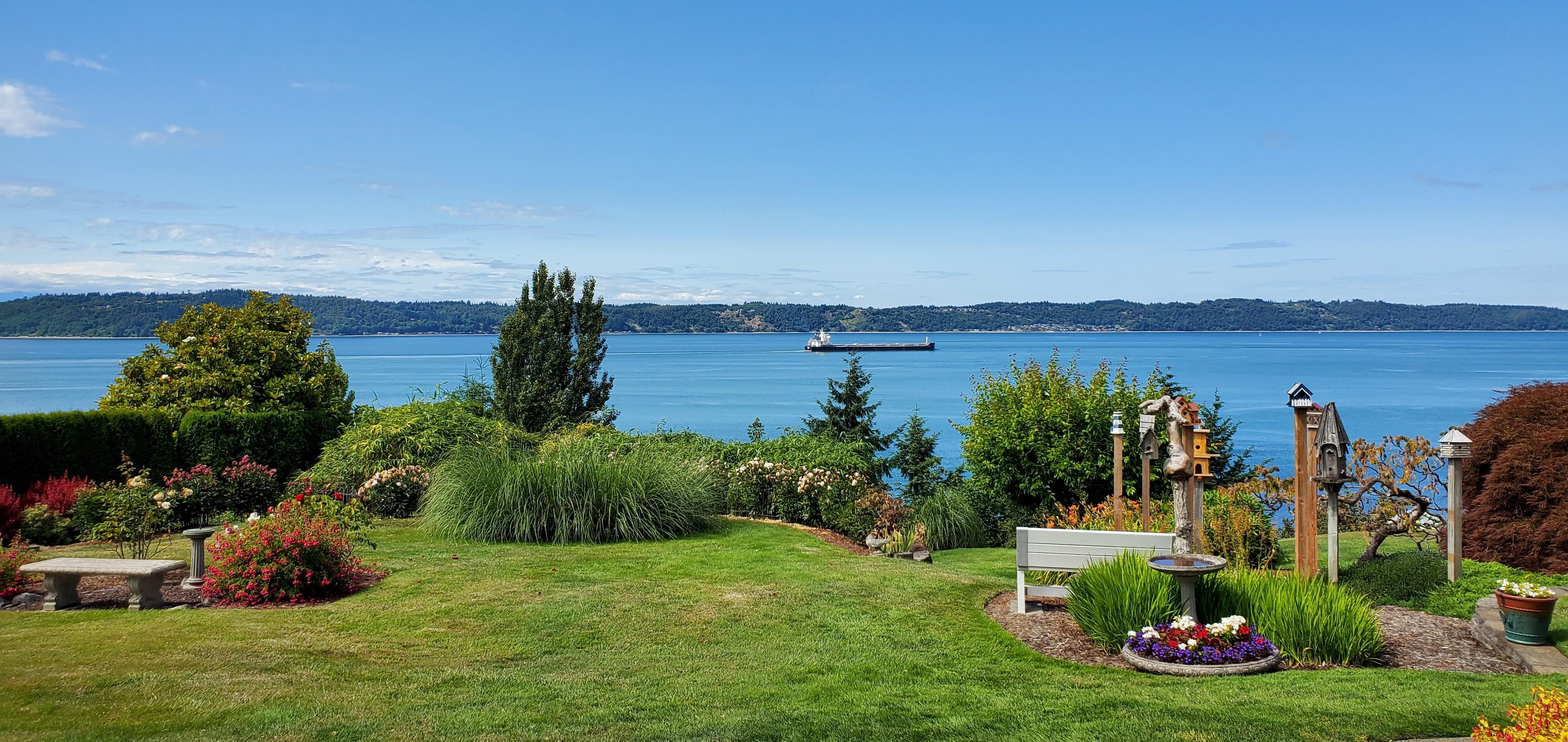 View from yard 1st day