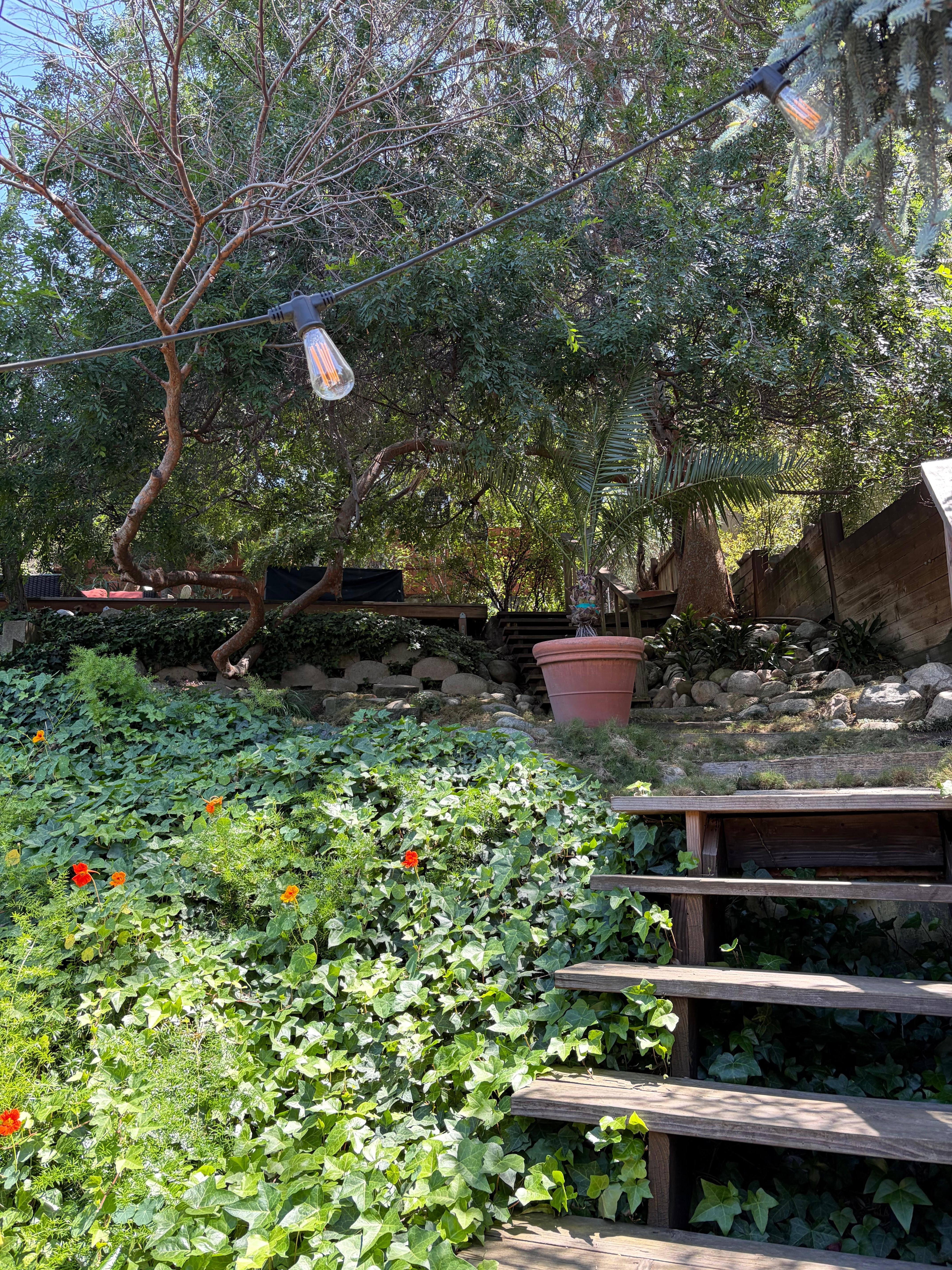 Terraced back yard
