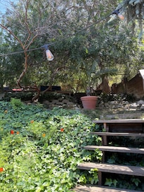 Terraced back yard