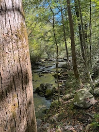 Gatlinburg trail