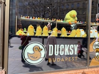 Duck Store