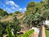 Views from villa