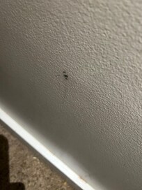 Random spot on the wall