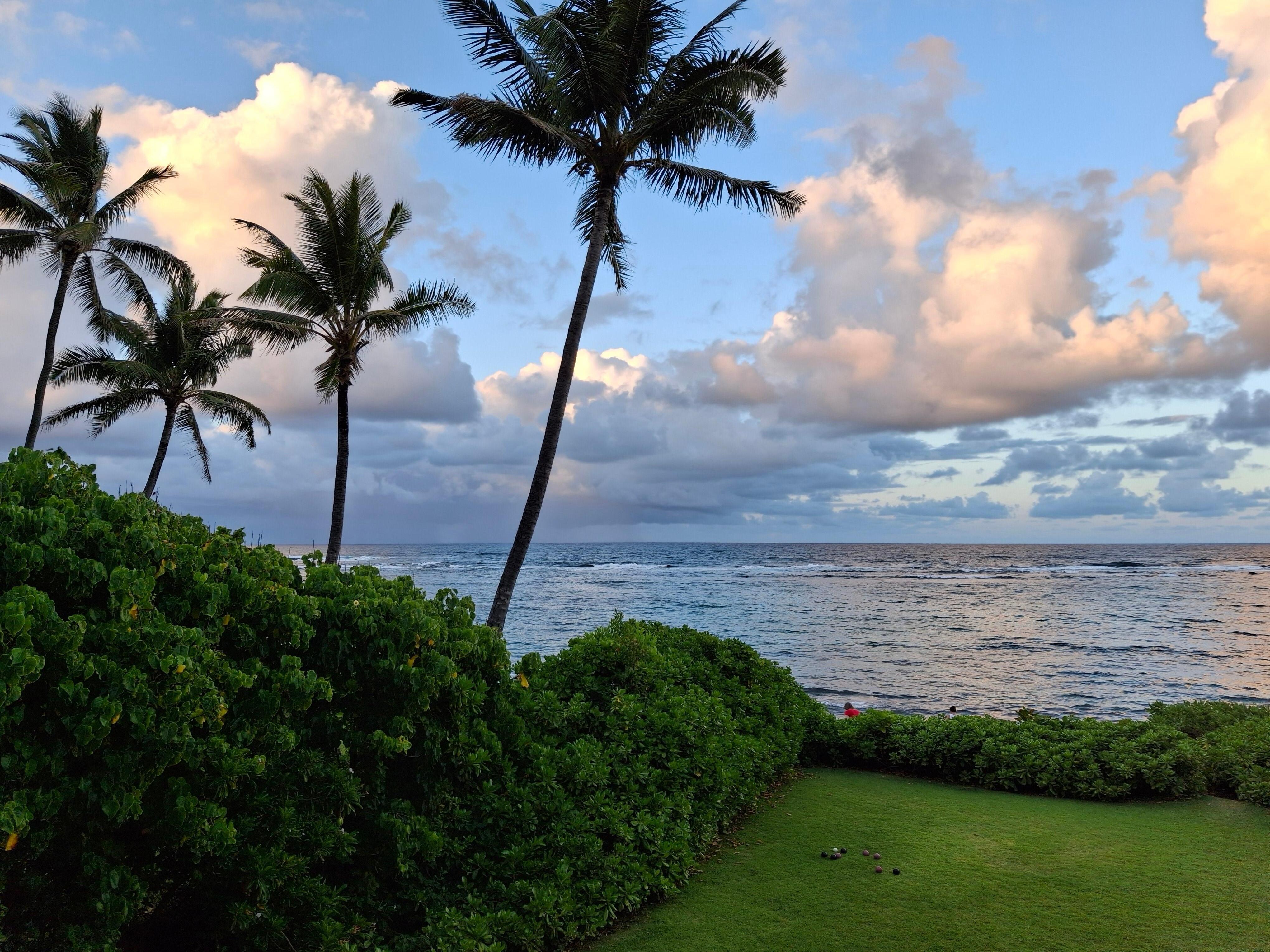 Home's view