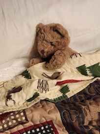 Little ones will love this home as much as seniors