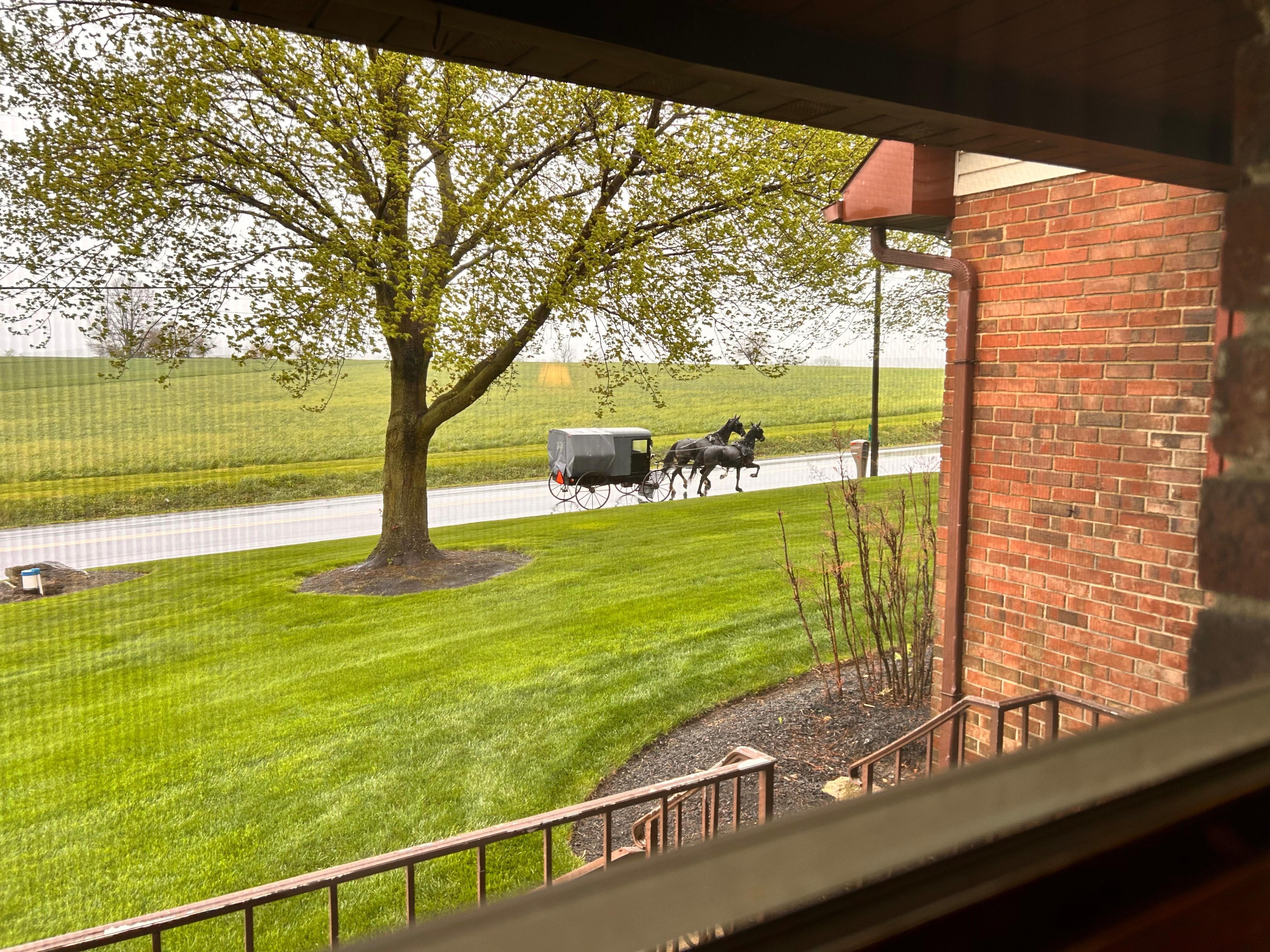 View from front window. Many buggies passed by during our short visit. 