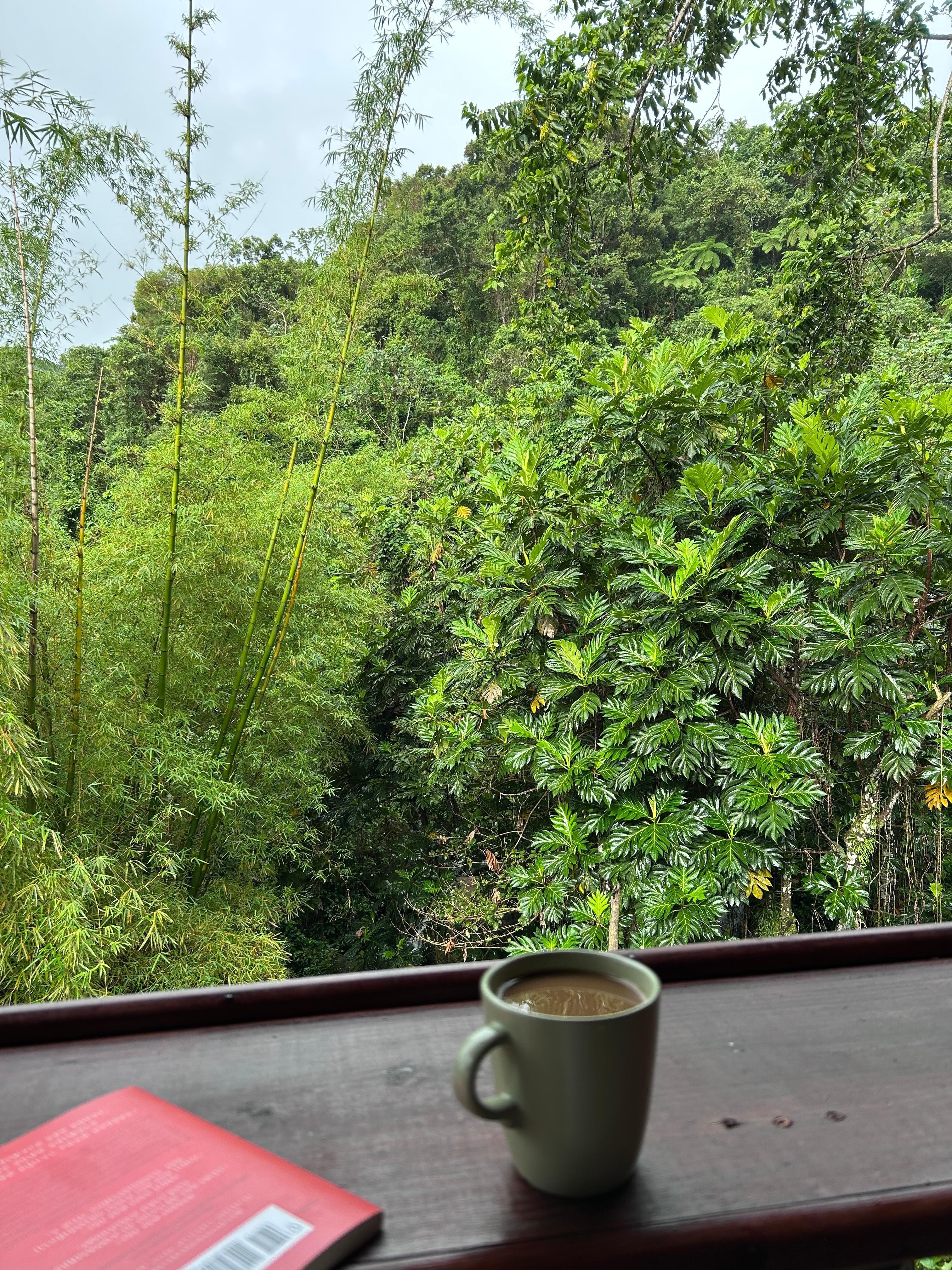 Great place to relax 