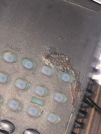 Stains from food on the phone.