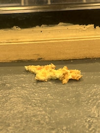 Chewed/spit up food left near pool area… doesn’t look like regular cleanings or checkin of the pool area by staff is done. Pool rules are not enforced and kids out of control in pool area.