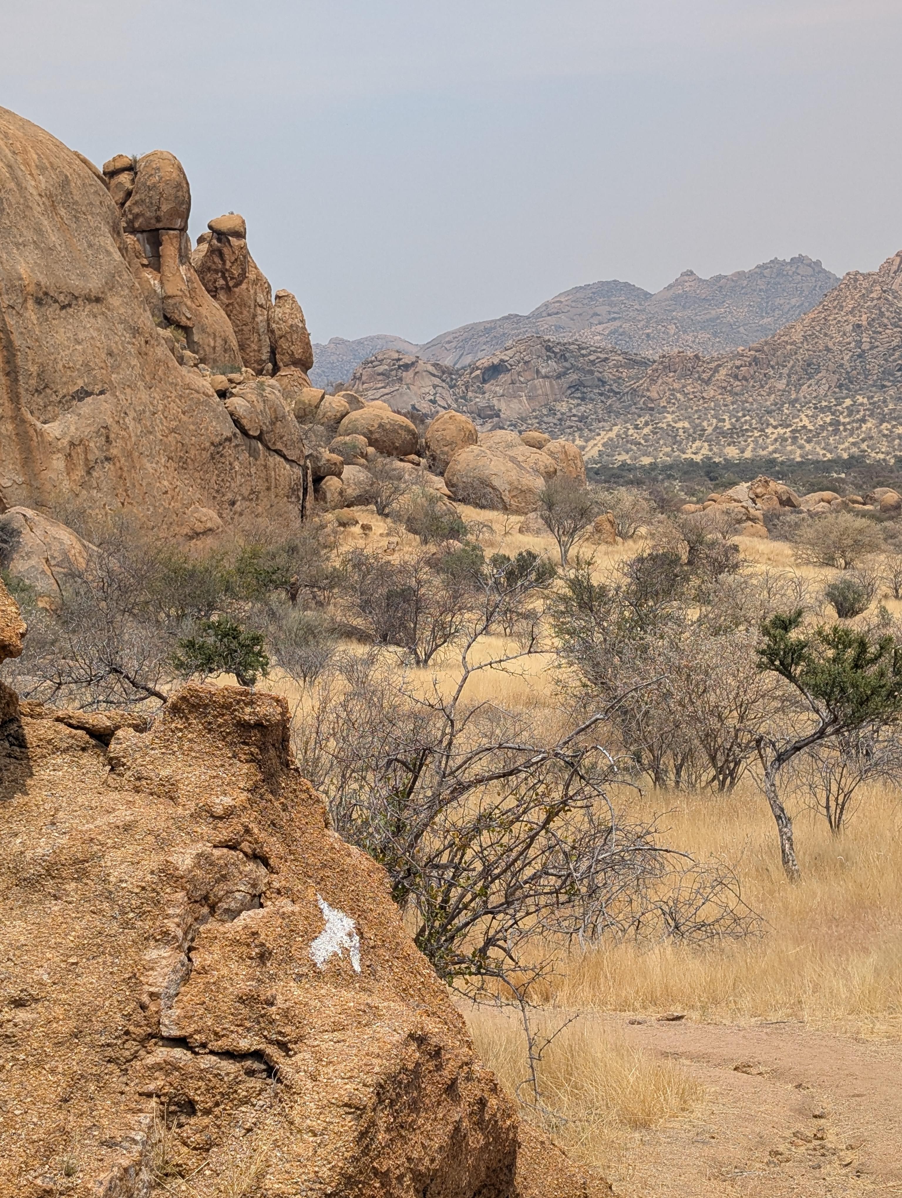 Rock painting trail on site 
