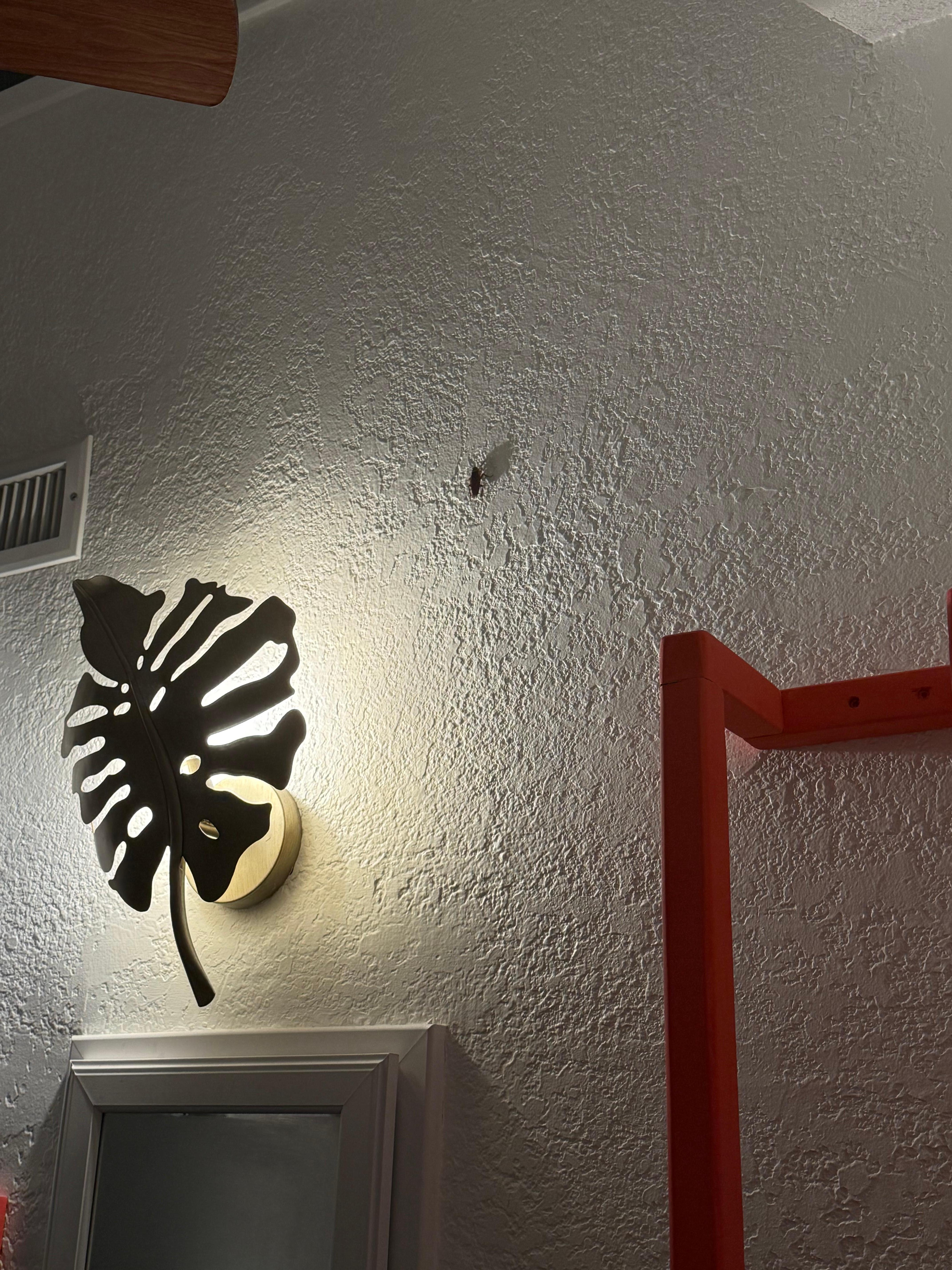 Roach in the bathroom