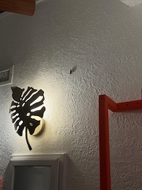 Roach in the bathroom