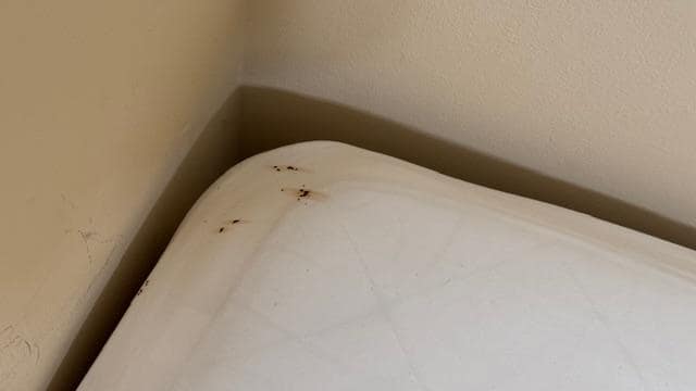 Dirty sheets with sand in the bed