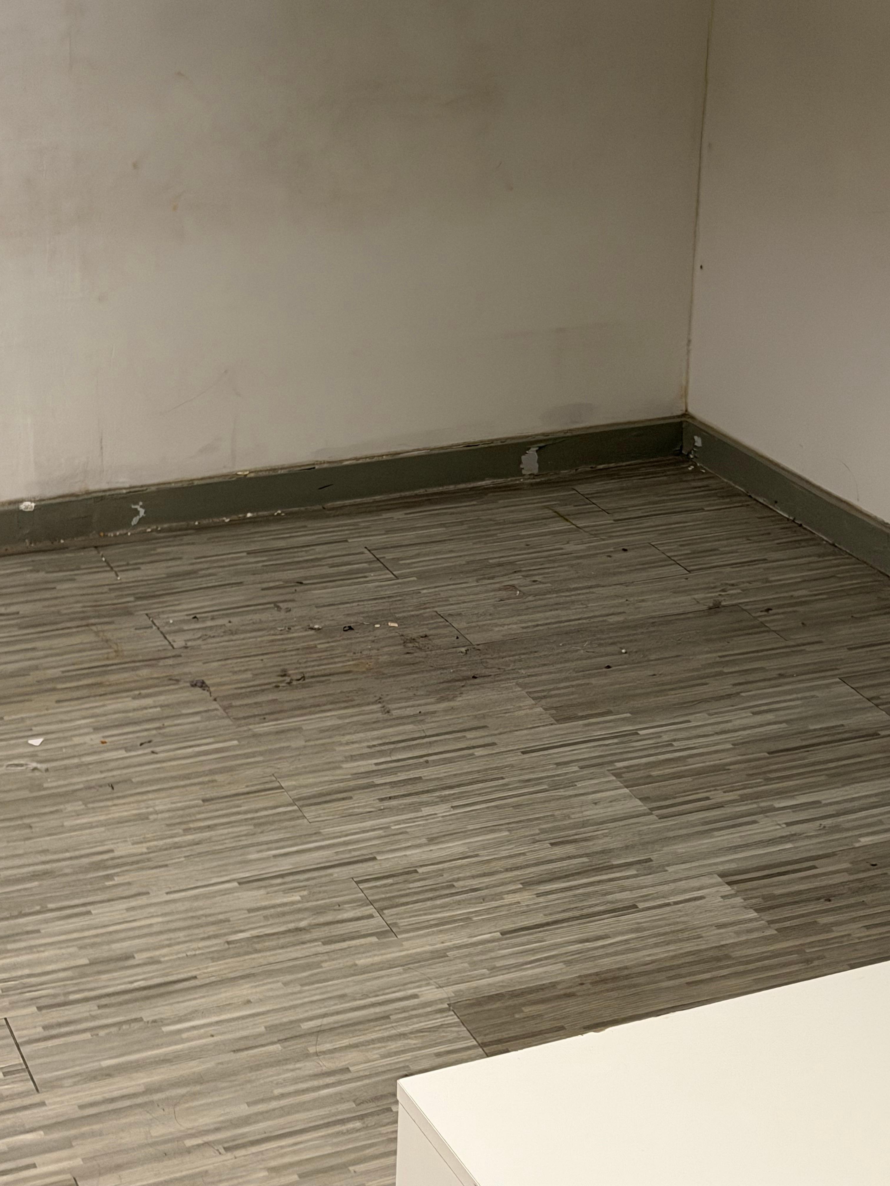 This is a picture of our floor. Nasty