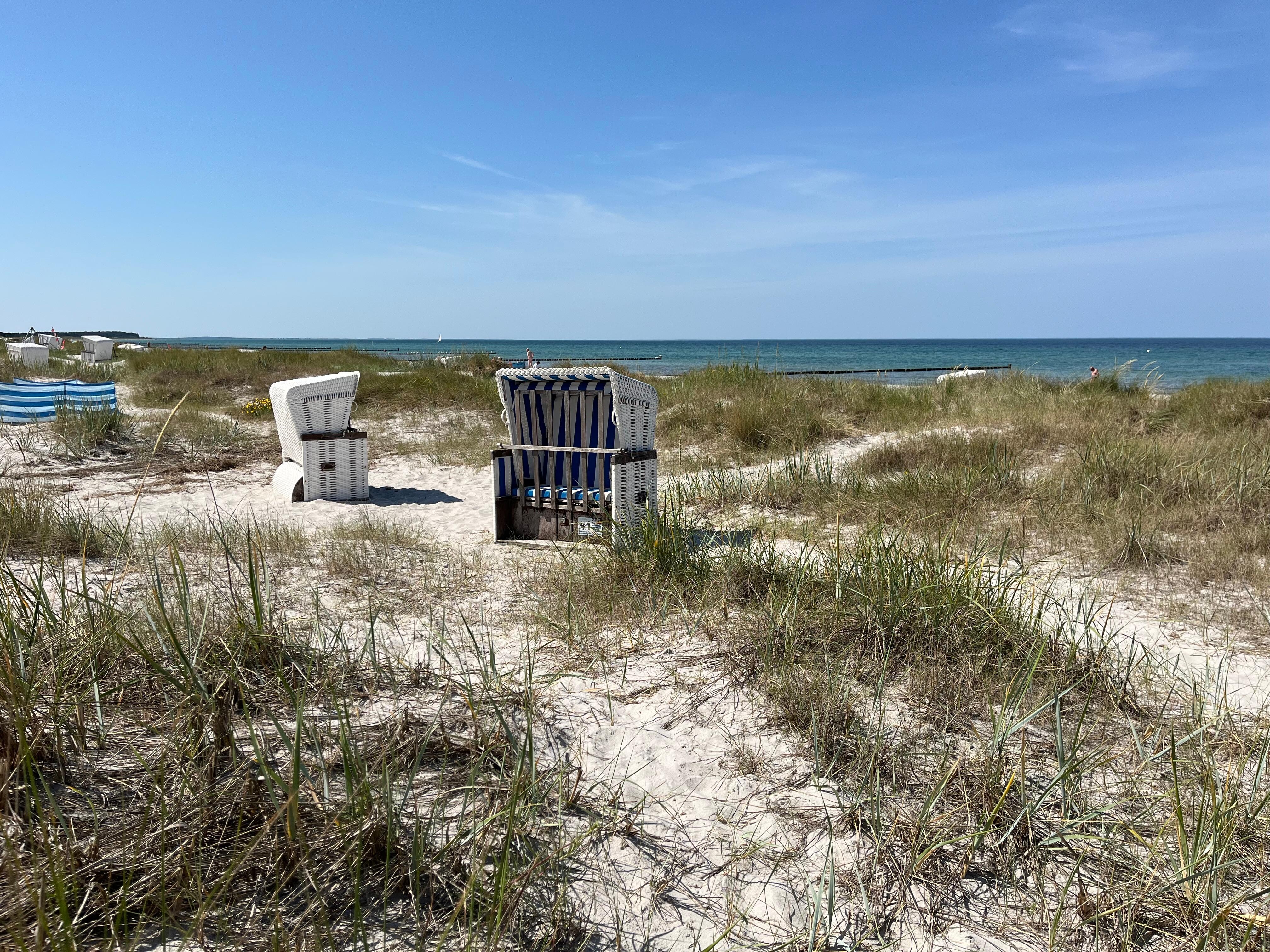 Strandkörbe in den Dünen 