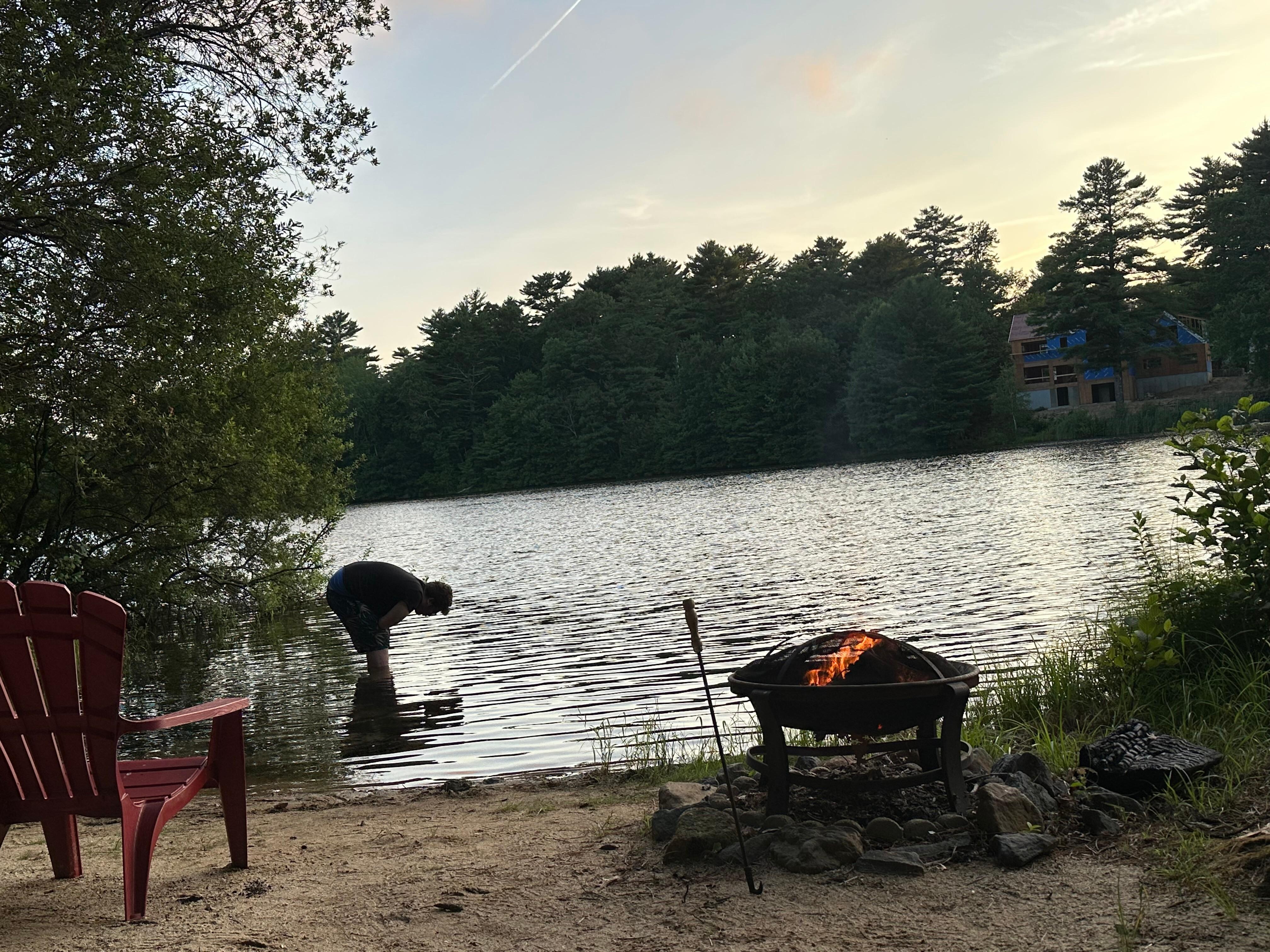 Dusk by the pond