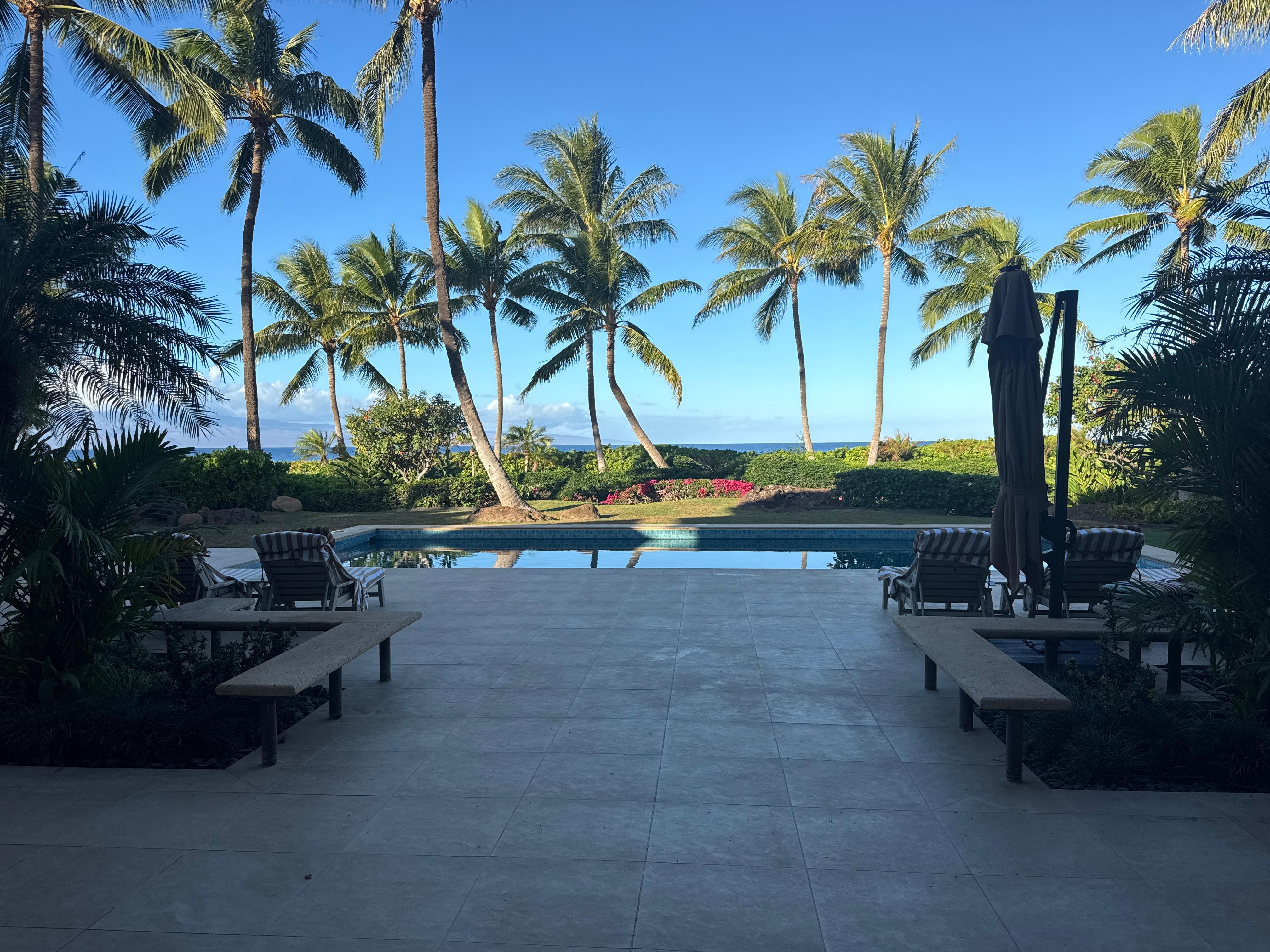 Beautiful and comfortable pool and deck.  