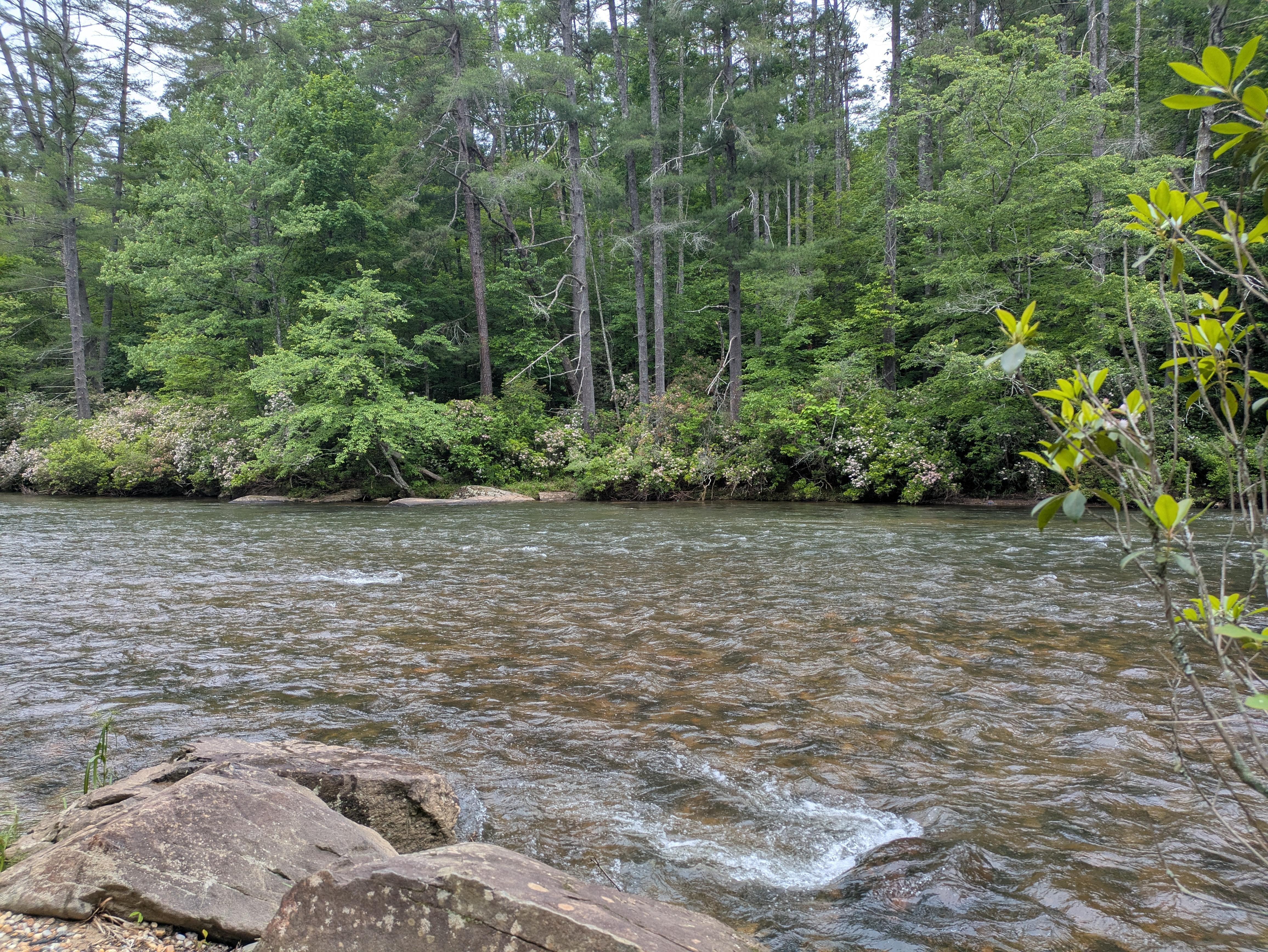 View from the firepit area