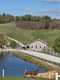 Views from Wallet Creek Farms