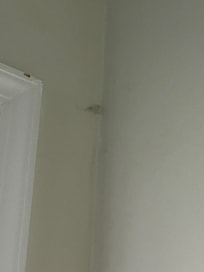 More fuzzy walls/spider web