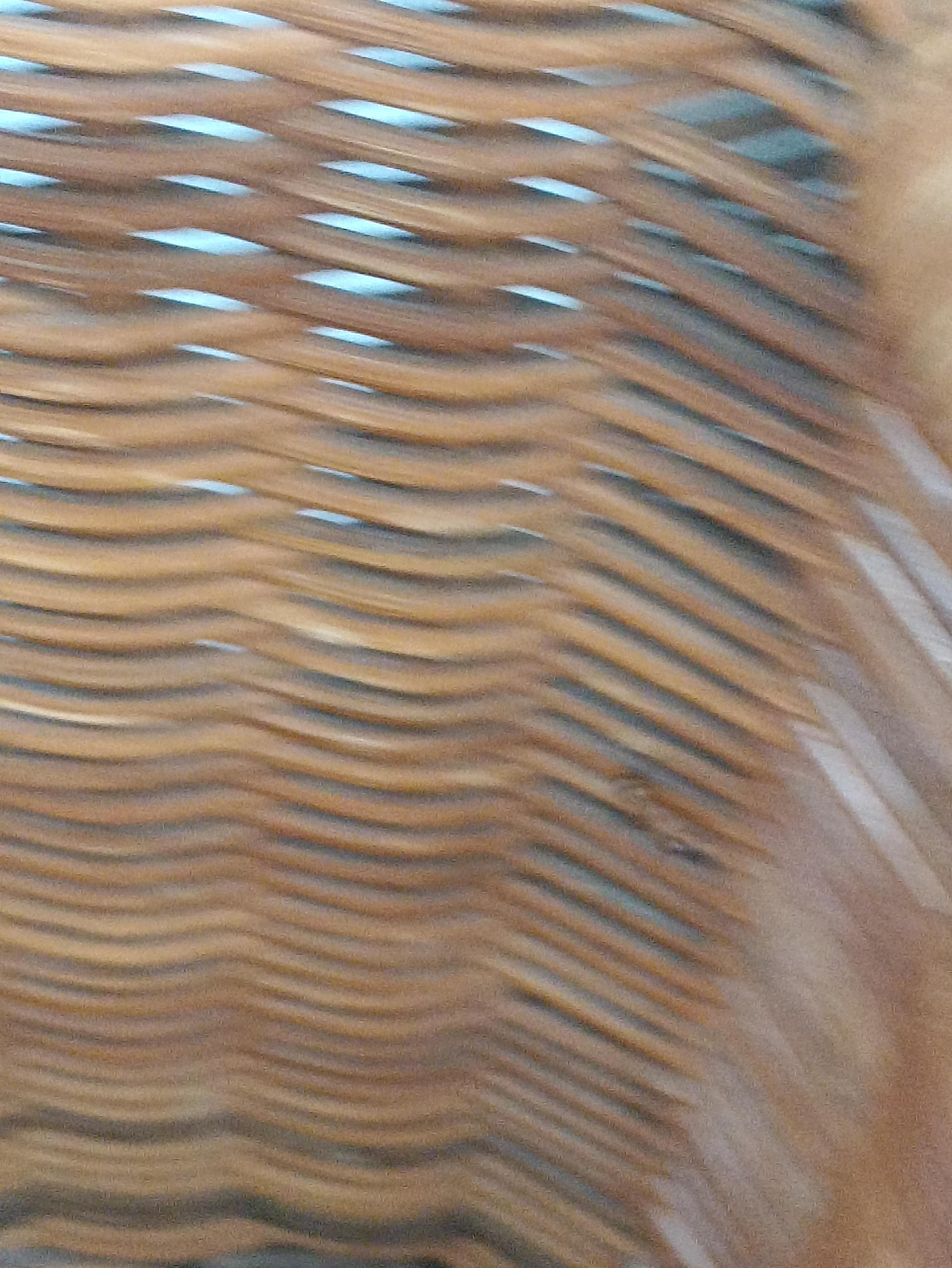 Hormigas