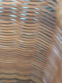 Hormigas