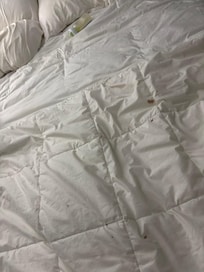 Second bed comforter more blood stains