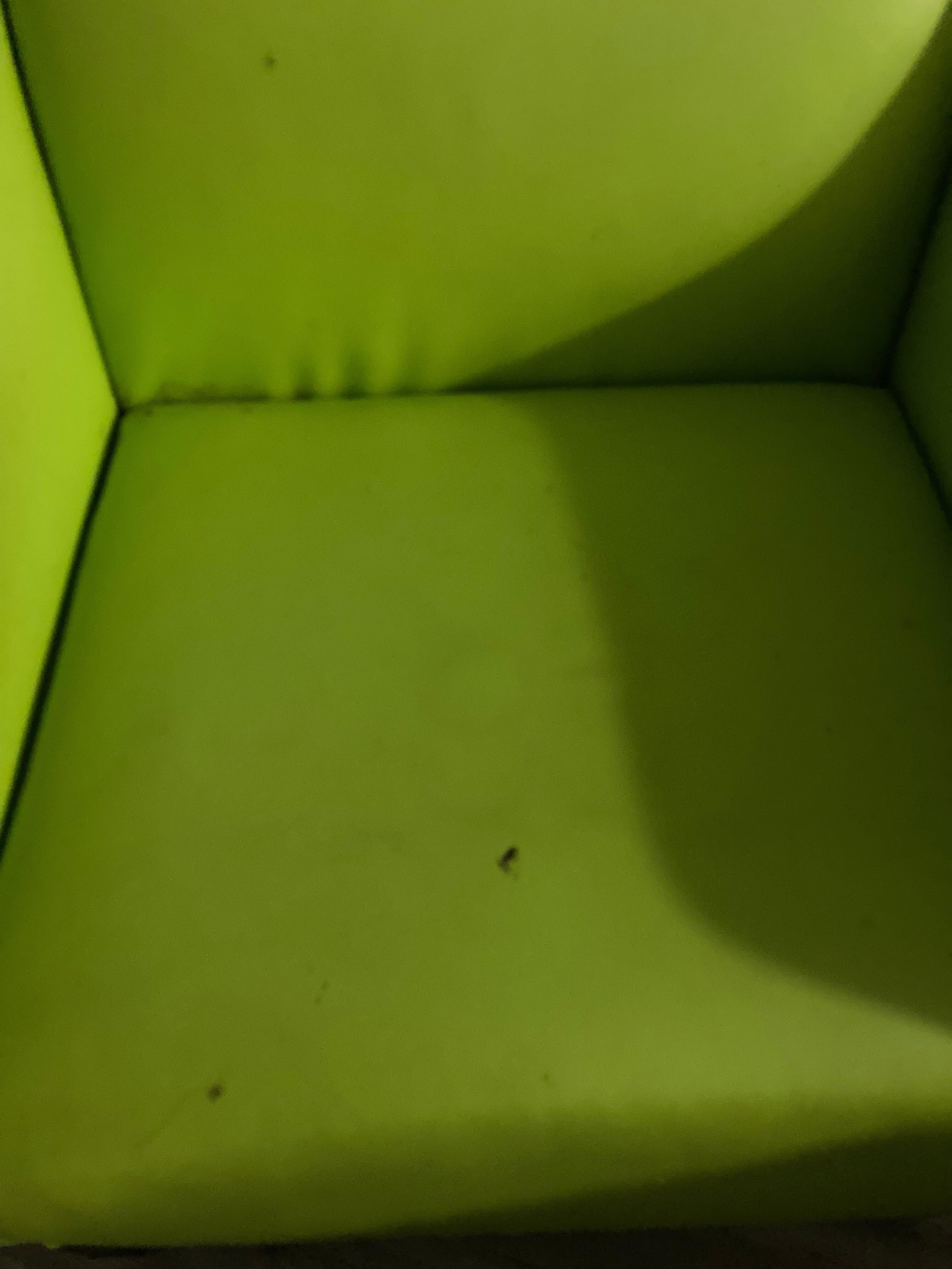 poop chair. 