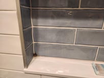 Nasty gob of hair in the shower.