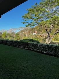 View from the patio of the property
