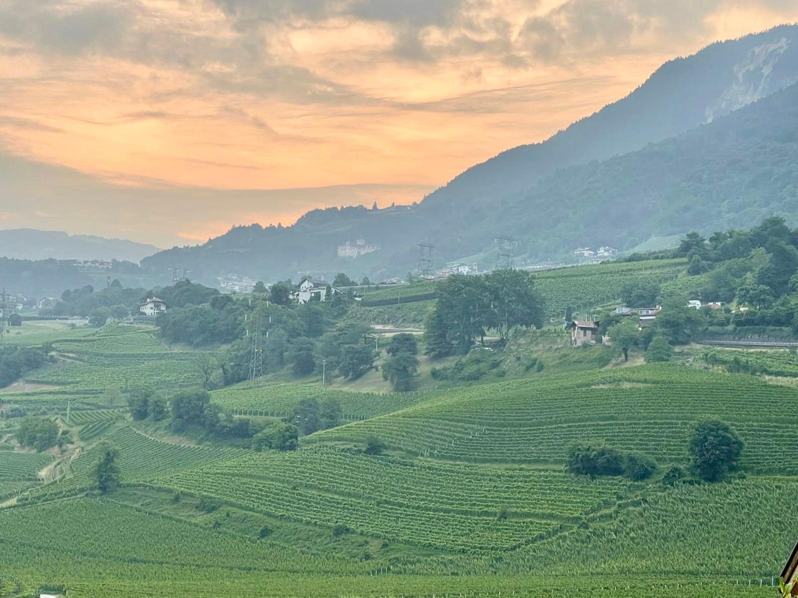 Morgenstimmung und Blick vom Terrassenbalkon