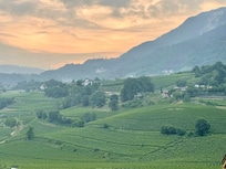Morgenstimmung und Blick vom Terrassenbalkon