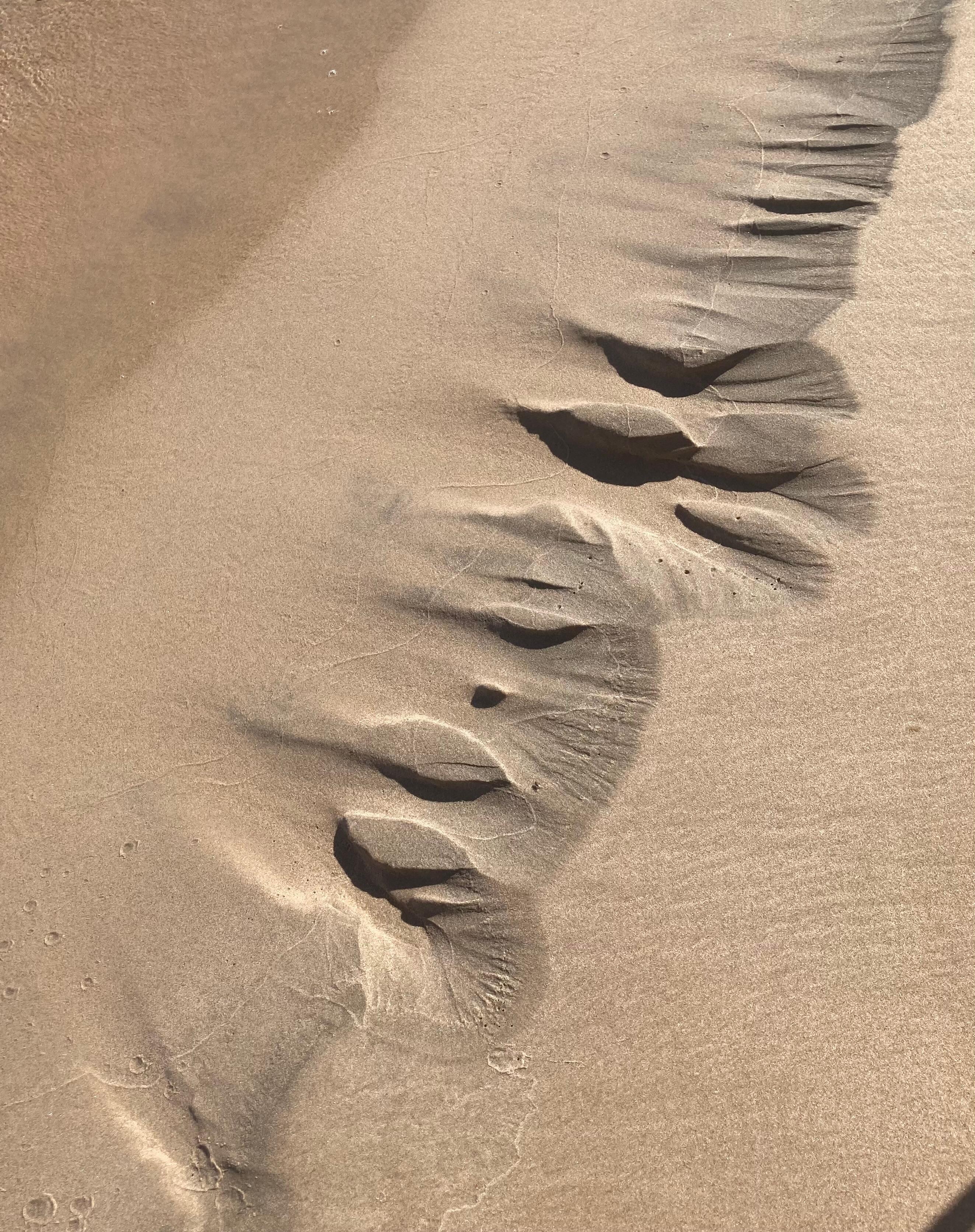 Patterns in the sand