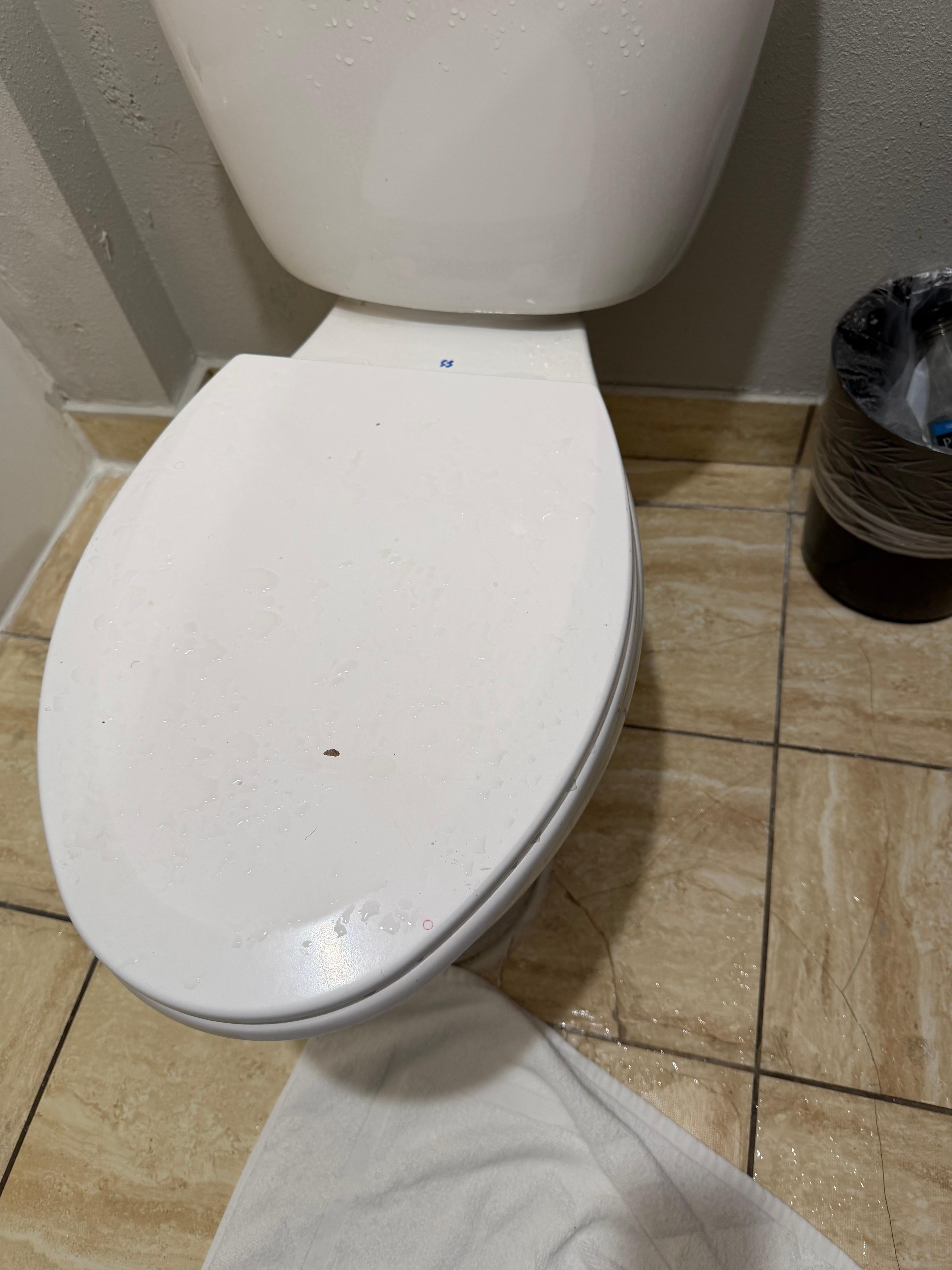 I’m not sure if it’s visible but I did take photos of all the water on the floor and toilet