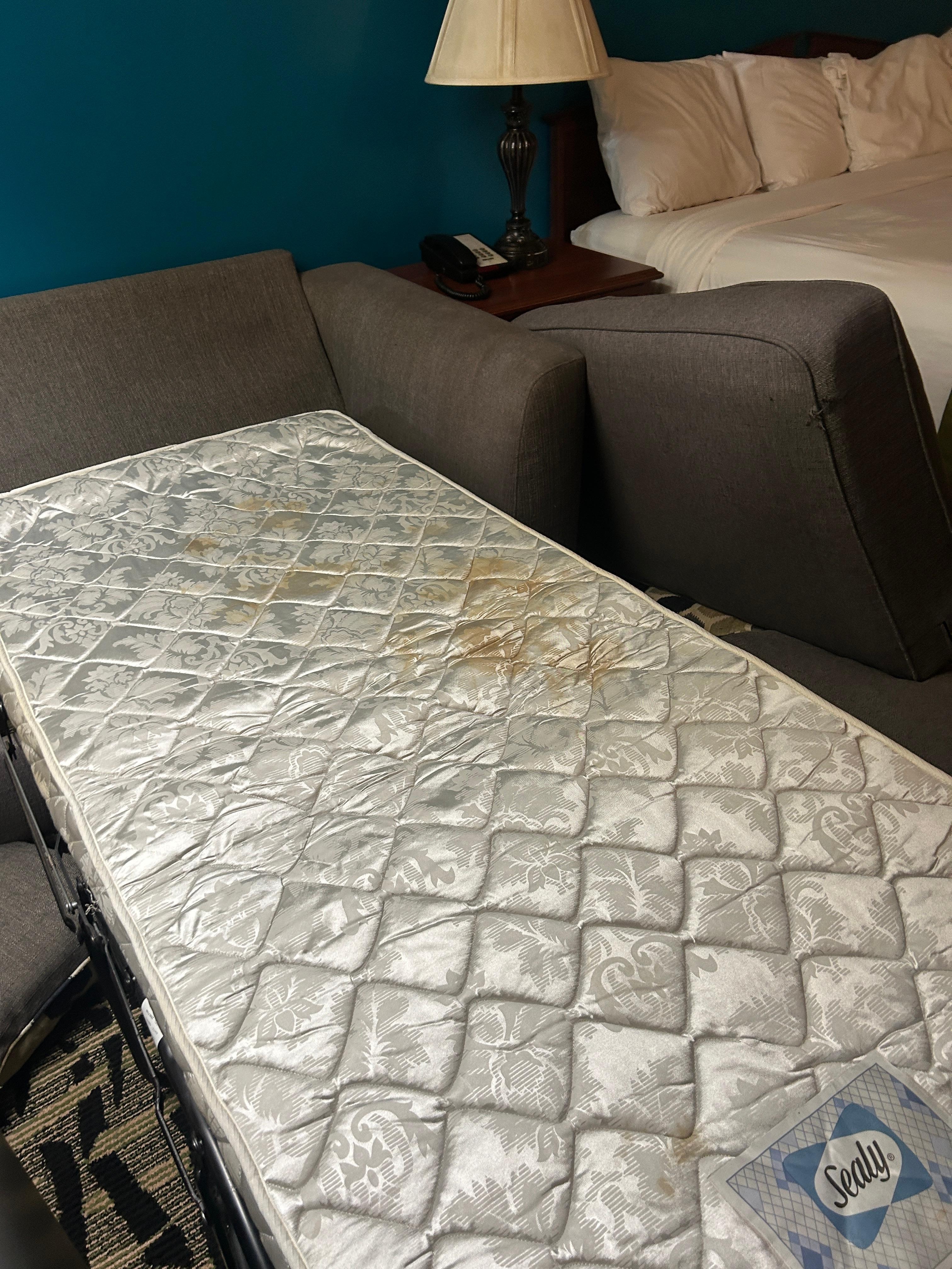 Gross Stain on pullout couch