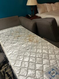 Gross Stain on pullout couch