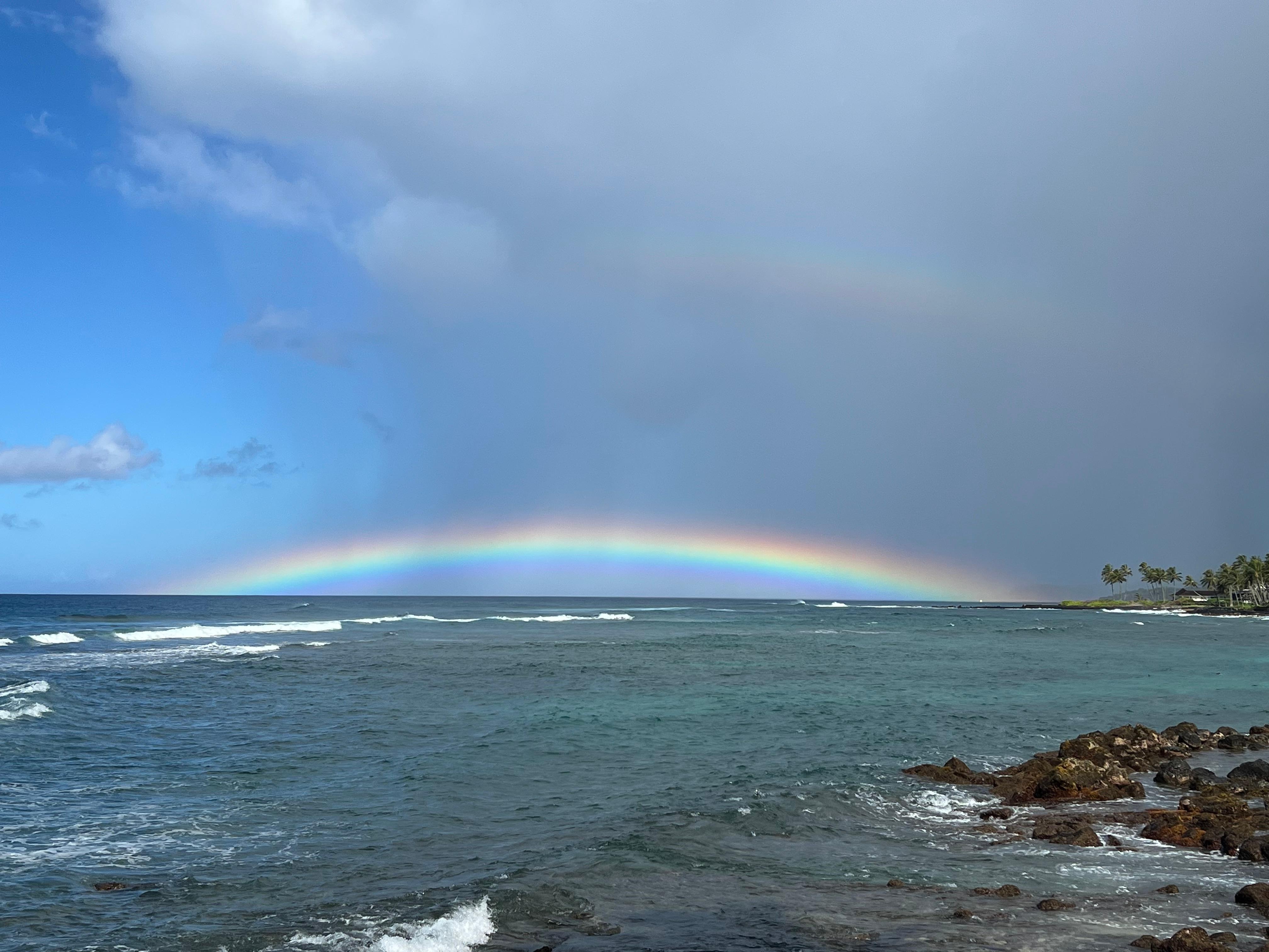 After snorkeling near Kuhio Shores, I found this waiting for me!