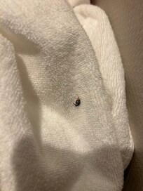 수건에 붙어있는 속눈썹 ㅠㅠ 벌레인줄 ㅠㅠ