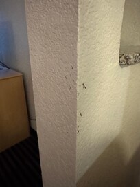 Wall boogers at eye level in the “freshly cleaned room”. 🤢