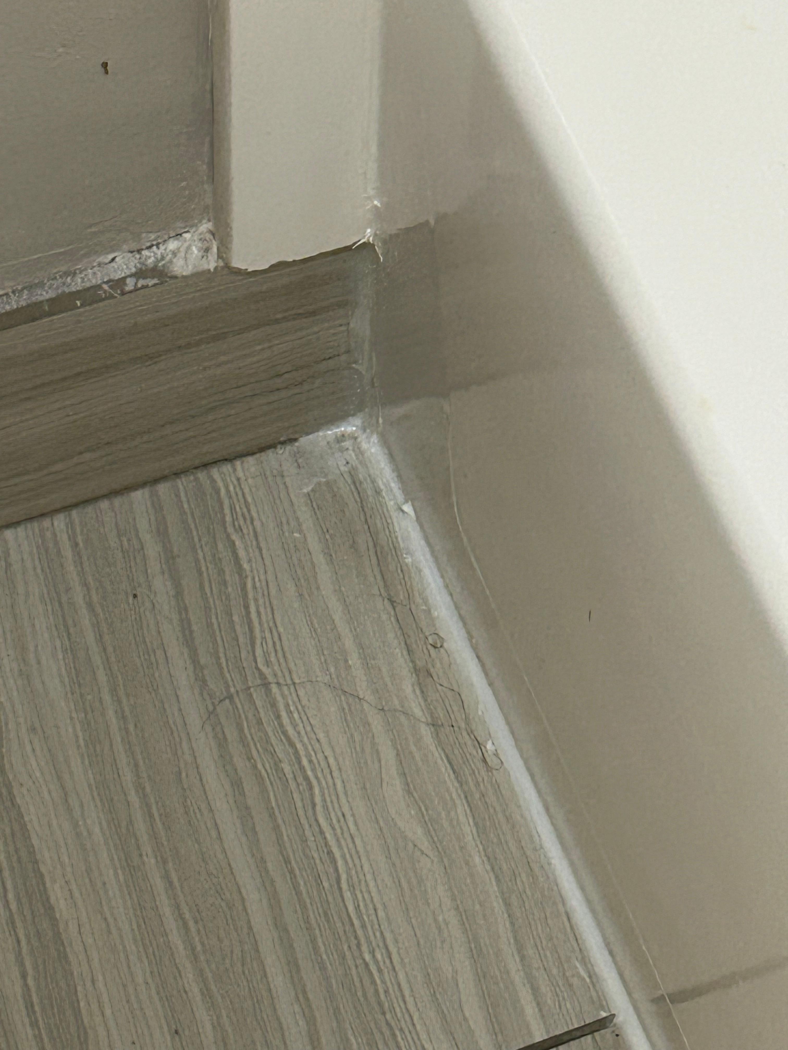 Hair everywhere. Corner of bathroom floor
