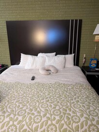 This was our king sized bed with 4 pillows that felt like my (my pillow) from home loved the color scheme of our room