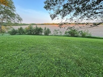 Backyard view