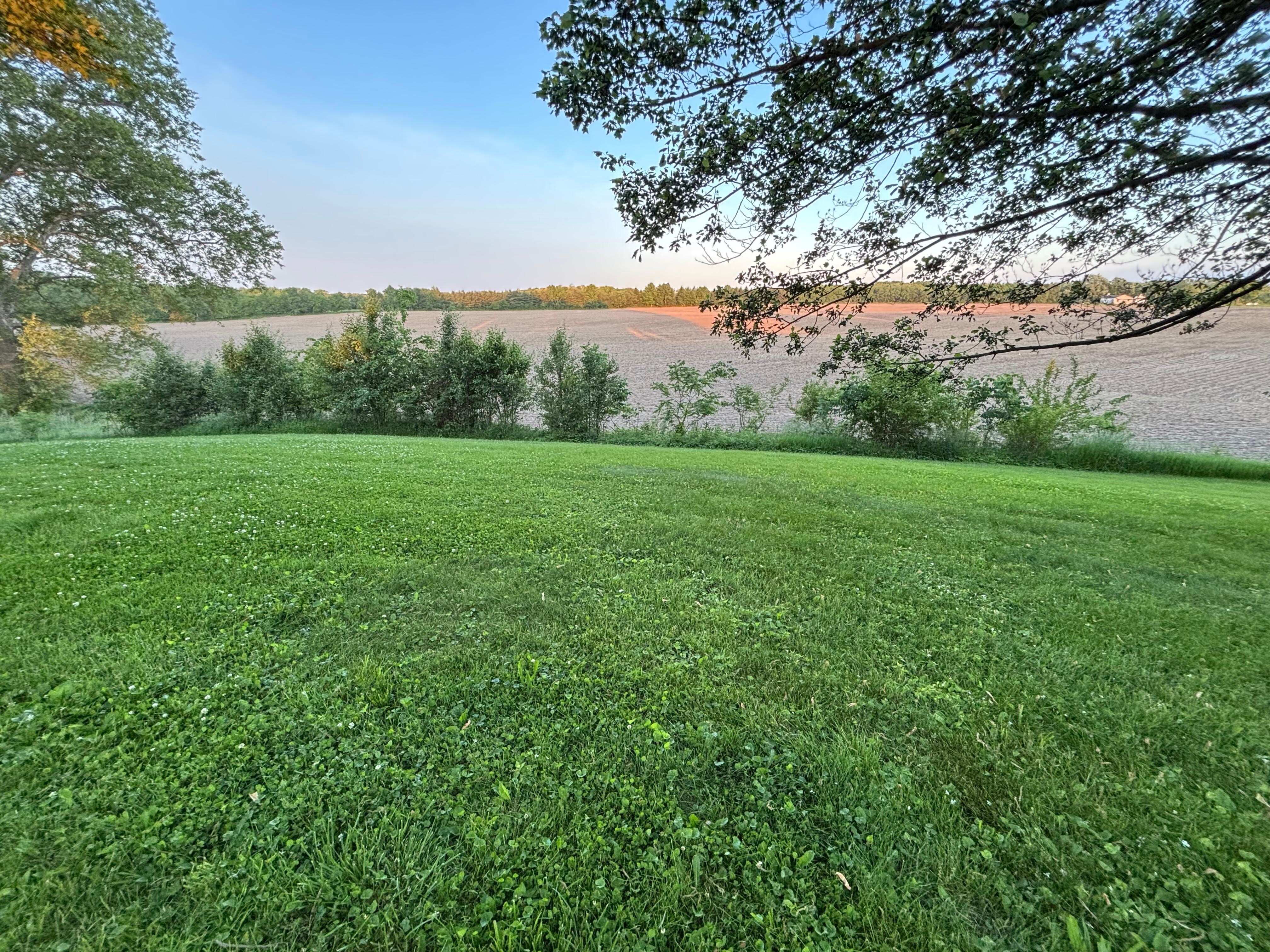 Backyard view