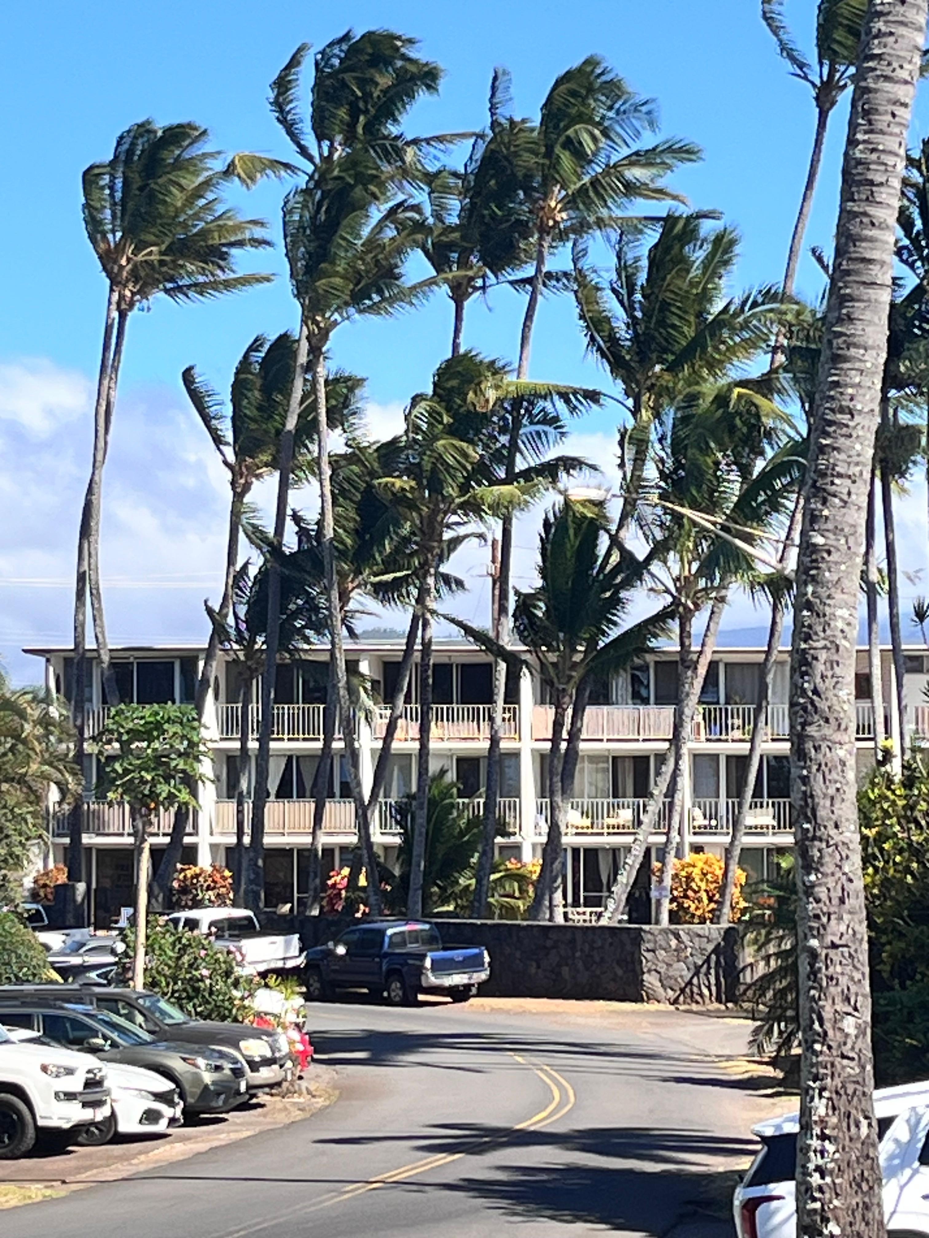 View from back road looking at condo complex.