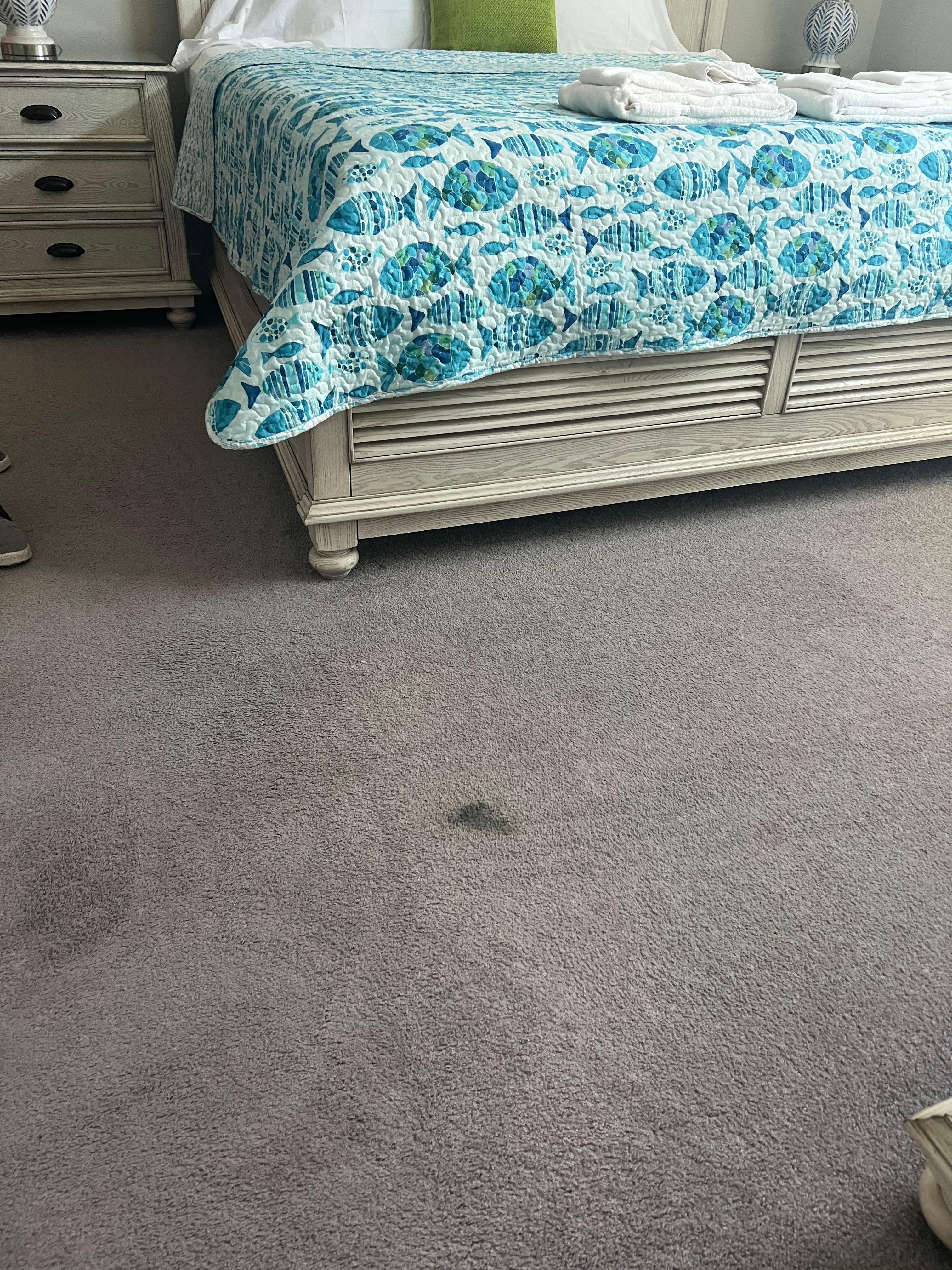 Stains on carpet in master bedroom 