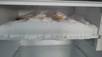 Freezer!