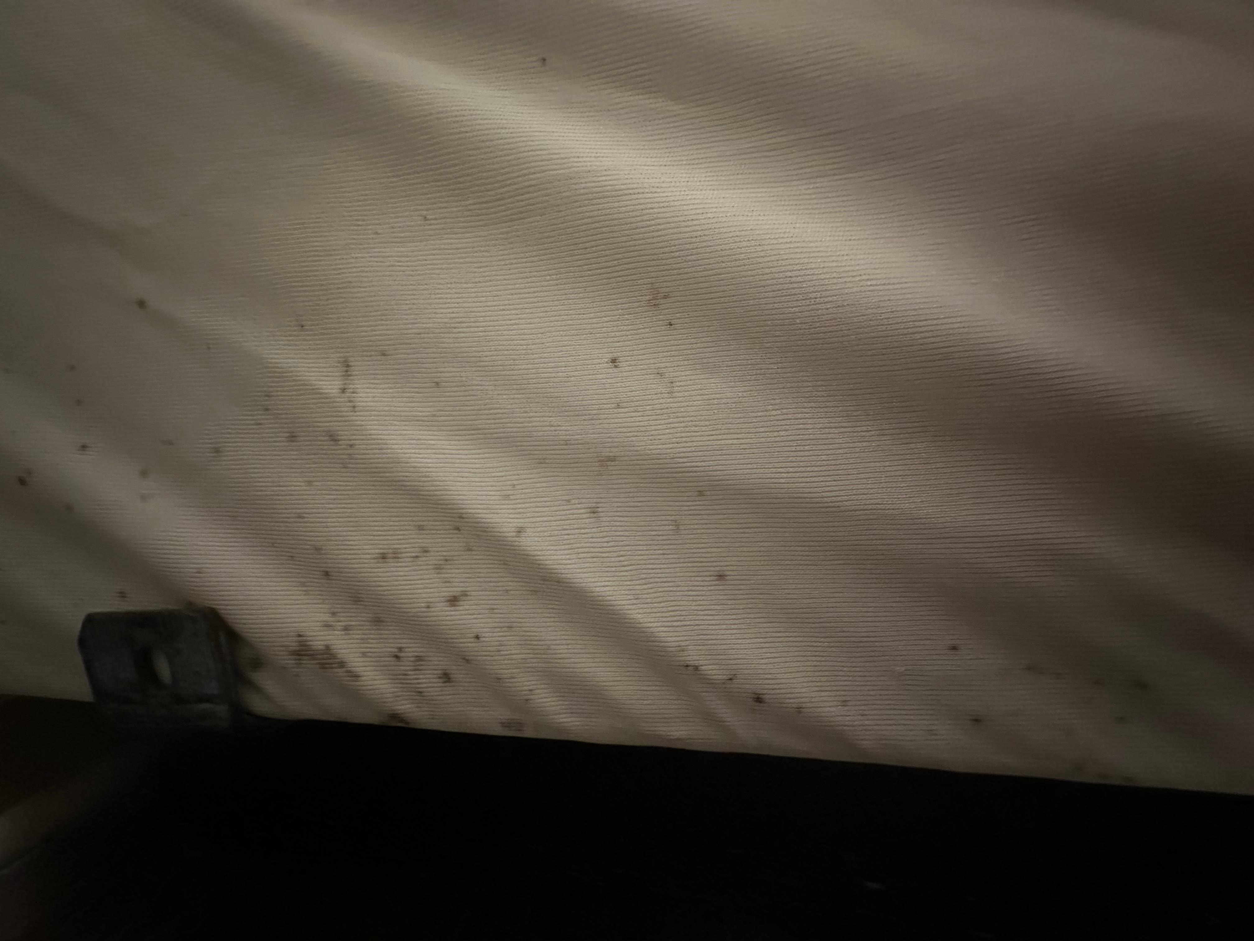 Dark spots on bedding