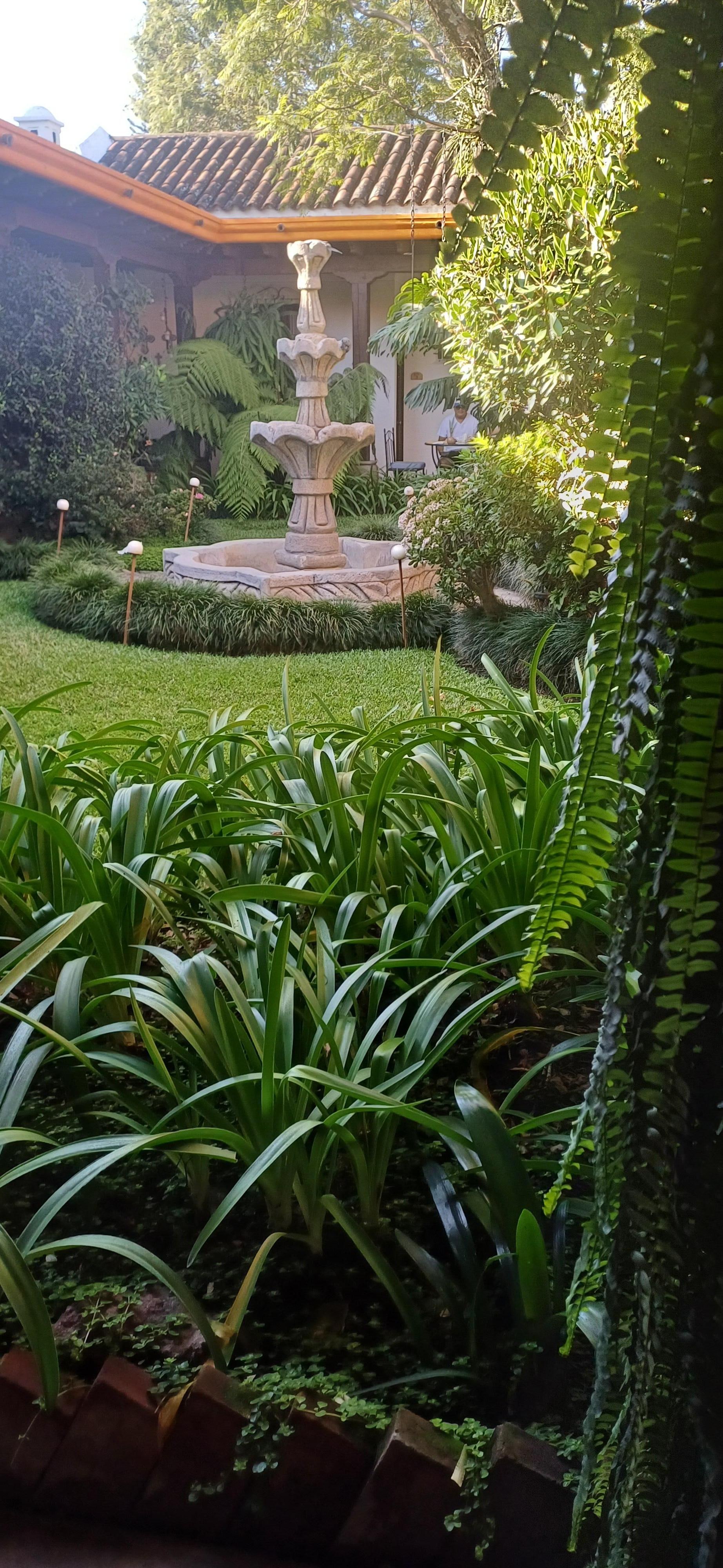 Patio interior