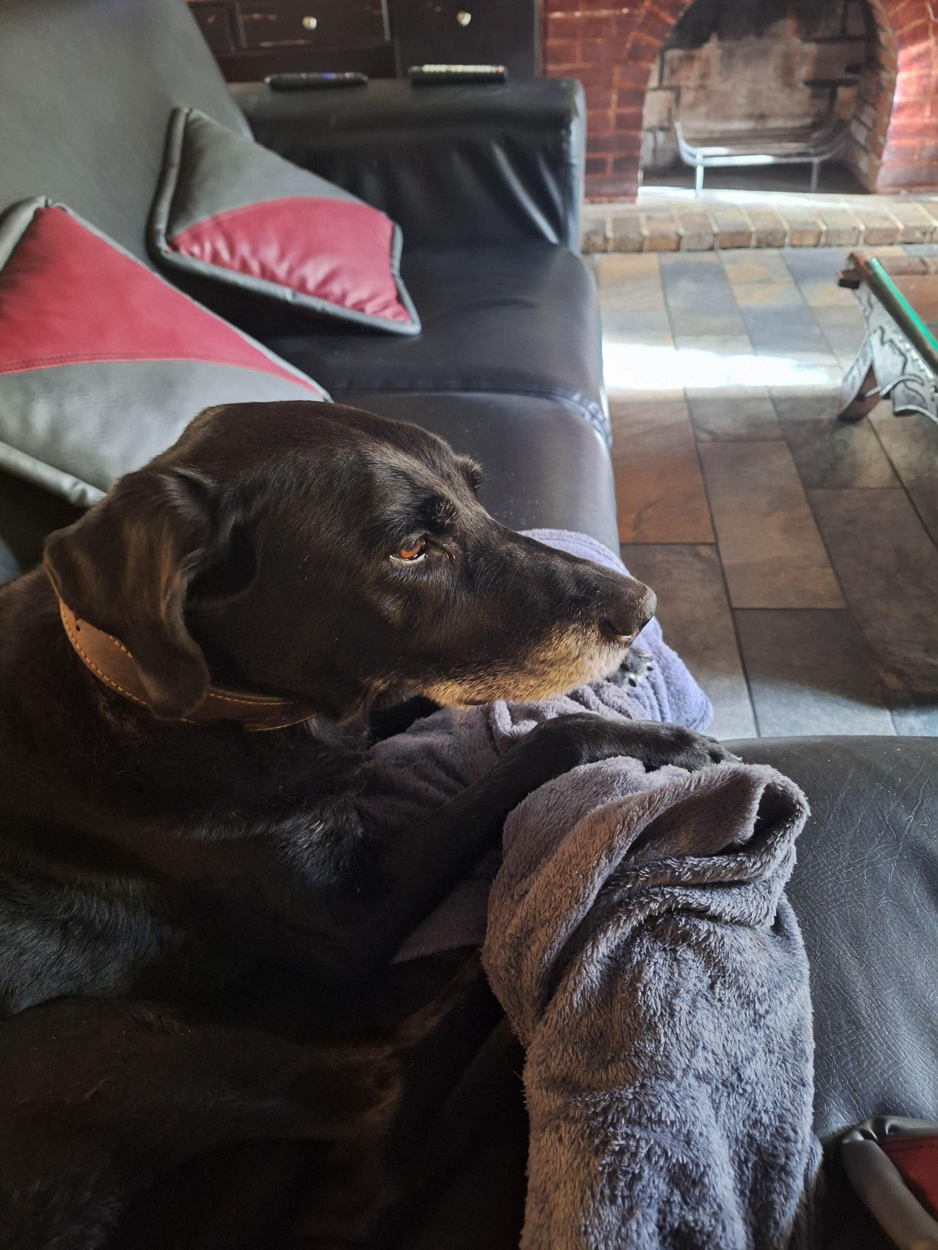 Violetta greets the guests 