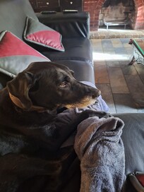 Violetta greets the guests